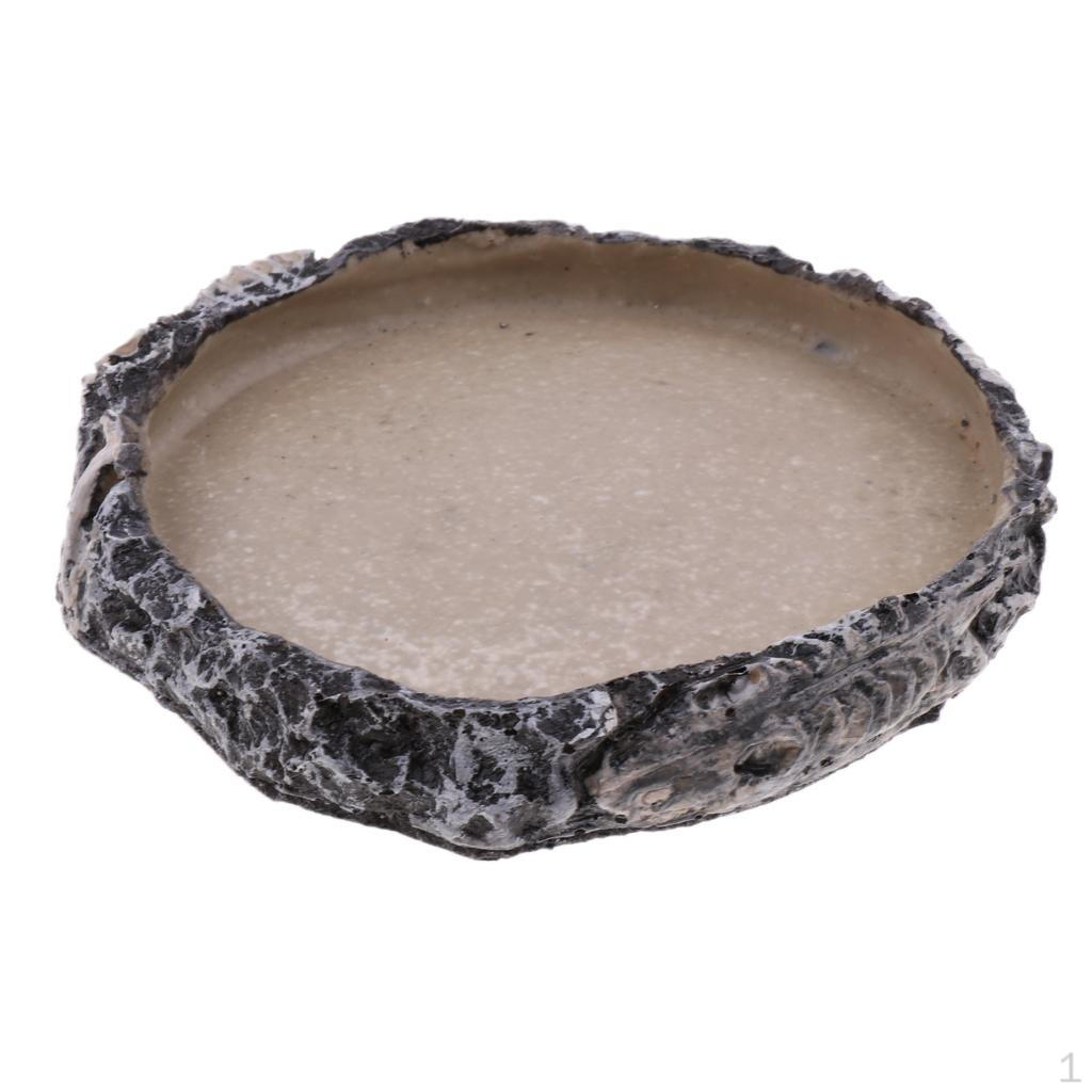 Reptile Vivarium Terrarium Feeding Bowl Tortoise Lizard Gecko Water Food Worm Feeder Basin Shaped