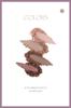 Ririmew In the Mirror Eye Palette Sashihara Produced Winter [Rino Cosmetics/Eyeshadow Palette] (03 Gray)