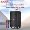 MALONE M-9115 Portable Outdoor Trolley Bluetooth Speaker CN plug (adapter included)