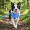 Reusable Dog Cooling Accessory, Bandana, Breathable Self-Cooling Neck Wrap, Outdoor Summer Pet Cold Water Activated Bandana Cooler, Heatstroke