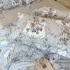 3 Piece Egyptian Cotton Bedding Set with 1 Duvet Cover and 2 Pillowcases Printed Soft Breathable Skin Friendly Comfortable