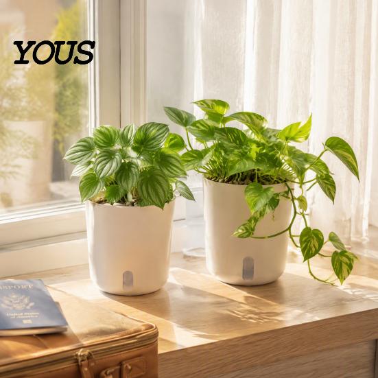 Self Watering Pots for Indoor Plants Plant Plants, Small Planters with Water Level Indicator, Clear Gardening Pothos Inner Cup, Drainage