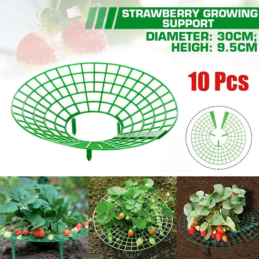 

Planting Frame Rack Growing Climbing Vine Pillar Strawberry Stand Garden Accessories Plant Support
