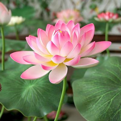 EVA Lotus and Lotus Leaf Dance Props for Pond Stage Scenery Decoration
