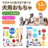 Wellvie Dog Toy Pet Dog Pet Food Chew Educational Exercise Stress Large Dogs 12-Piece Set, Supplies, Bowl, Feeder, Rope, Carrot, Ball, Supplies, Toys,
