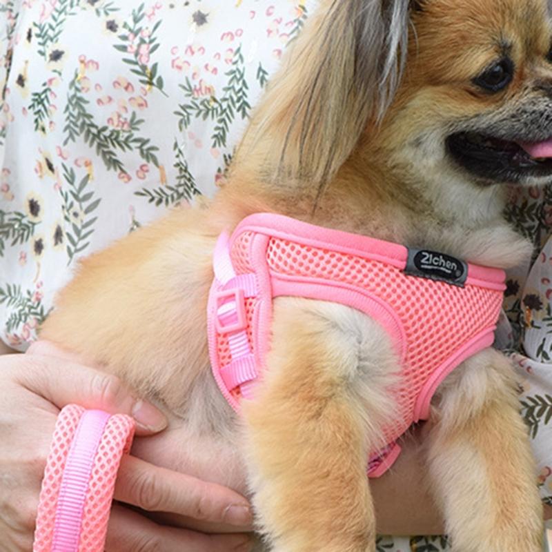 Dogs Chest and Back Traction Rope Breathable Dogs Cat Large Size Dogs Walking Dogs Rope Kitten Chest Strap Dogs Rope