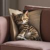 Cute Animal Print Pillow Case: Flat 2D Printing, Not Real Embroidery, Night Sofa Sofa Night Cushion