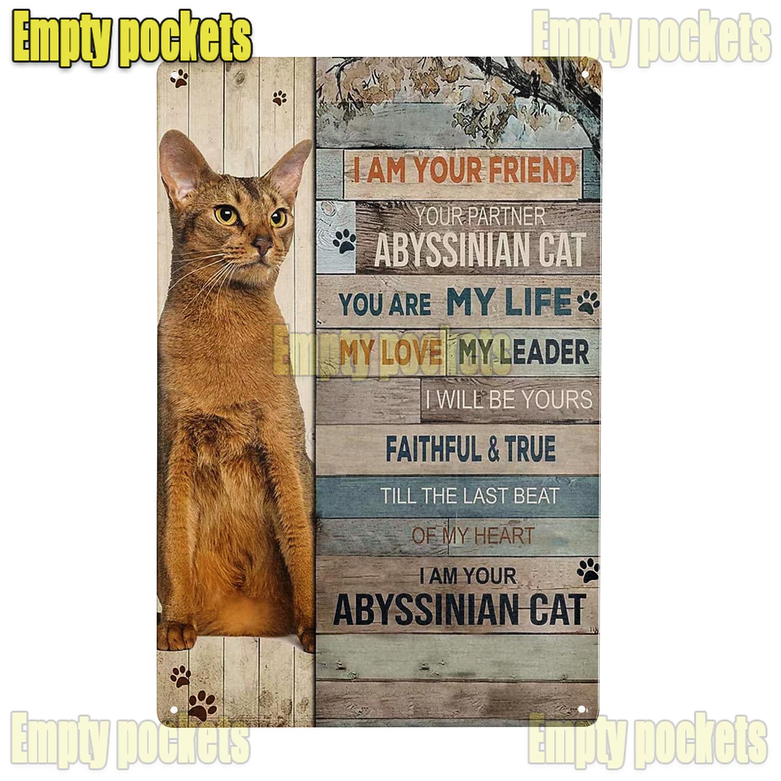 

Абиссинский кот, металлическая жестяная вывеска, художественный постер, кафе, ванная комната и дом, ретро железная живопись, настенный декор, ретро пляжный дом, зоомагазин 20x30cm