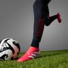 adidas Bezšněrovací Predator Elite FG 'Pure Victory Pack' Fotbalové ID3877 Pánské Červené