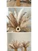 Artistic Retro Reed Dried Flower Bouquet for Home or Store Display