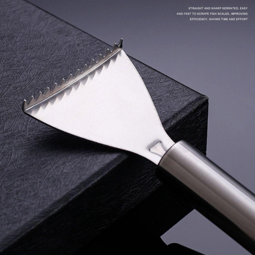 Smooth Handle Fish Scale Scraper Easy Maneuverability Seafood Tools  Kitchen Tools