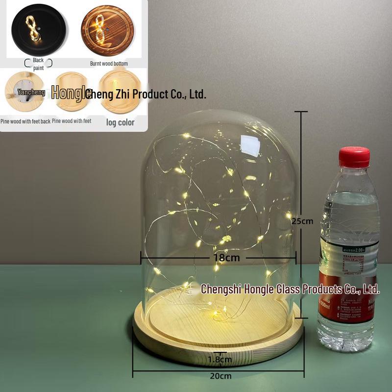 Luminous Sea Urchin Glass Dome with Preserved Flowers and String Lights