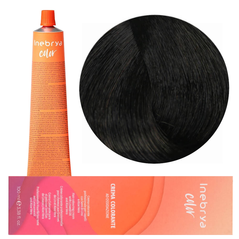 Inebrya Color 4/0 Paint 100