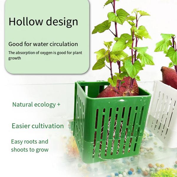 Hook Design Aquarium Basket Hydroponic Basket for Fish Tank Aquarium Plant Holder Heat-resistant Hydroponic Basket Hanging Fish Tank Planter Cups