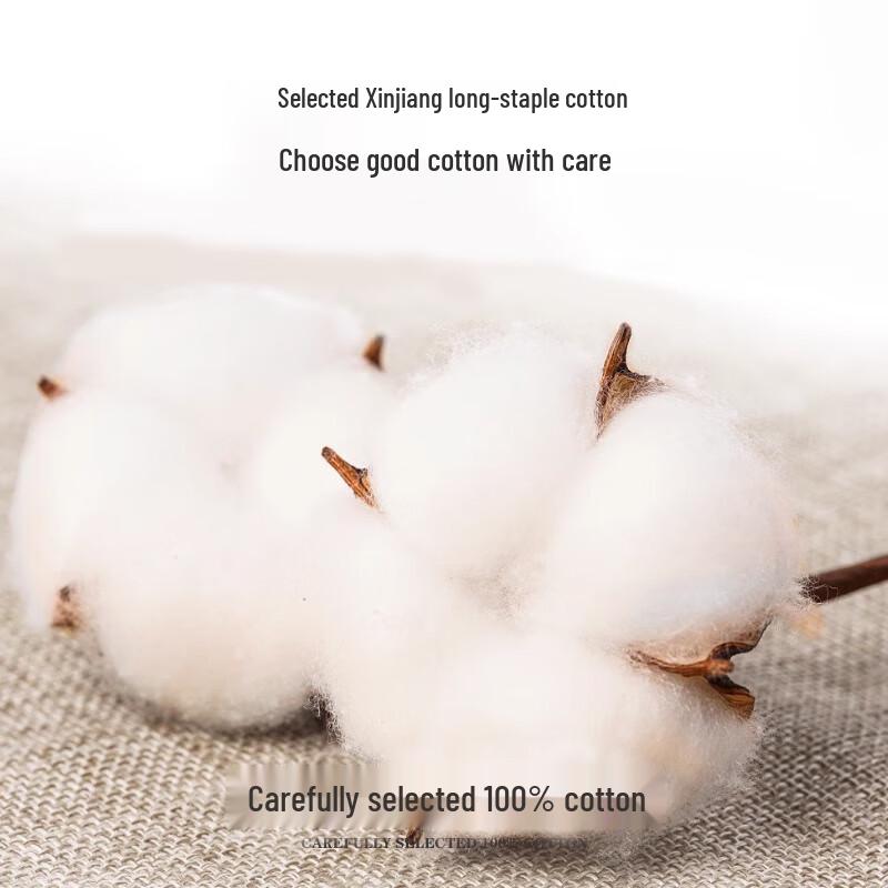 Langshen Women's High-Waist Pure Cotton Briefs 4-Pack