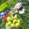 Instrumente de grădinărit – Dispozitive pentru cules fructe