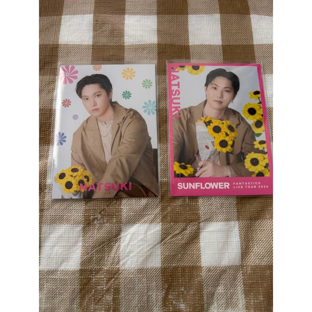Used SUNFLOWER Natsuki Hori Photo Card
