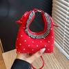 Niche mini bag women's summer new fashion messenger bag high-end portable dumpling bag