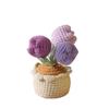 Creative Handmade Yarn Crochet Tulip Potted Plant Home Decoration Crafts Desktop Car Gift Shooting Props