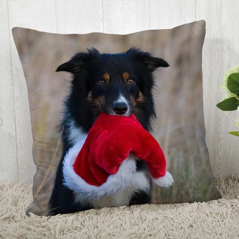 Pillowcase Border Collie  Modern Home Living Room Decor