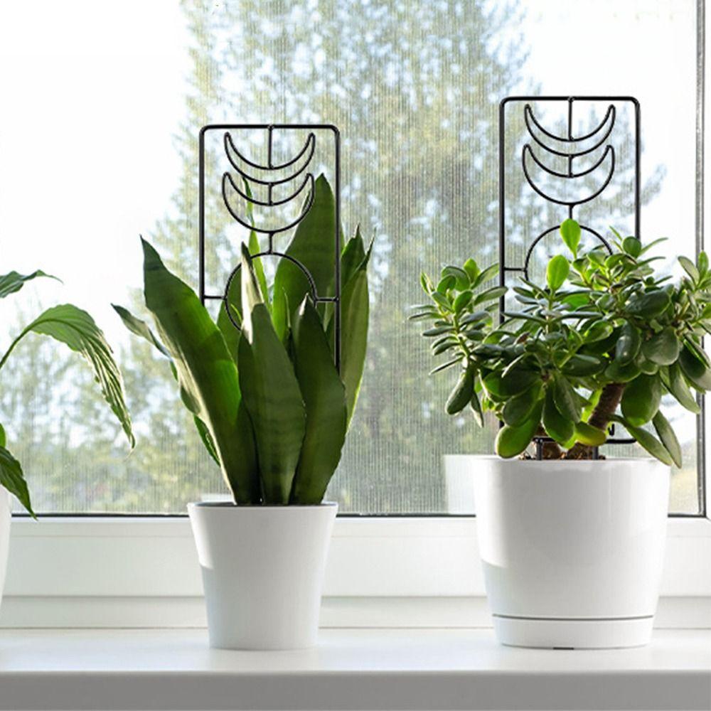 Durable Climbing Vine Frame Reusable Plant Stand Bonsai Tool Flowerpot Bracket  Flower Screen