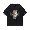 Summer Funny Gym Sam Sulek Cat Graphic Print T-shirts Men Women Fitness Pump Cover Tshirt Woman Meme T Shirt Short Sleeve