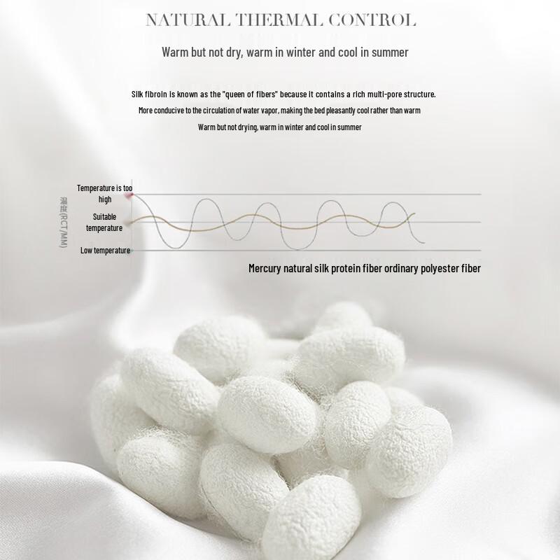 Mercury Home Textiles Silk Quilt