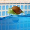 Pool Bromtabletten Schwimmender Spender Applikator Schwimmbad Chemikalien Schwimmer
