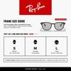 sunglasses RB4259F SHINY BLACK WITH LIGHT GREY LENS Asian Fit Lightweight Ray-Ban