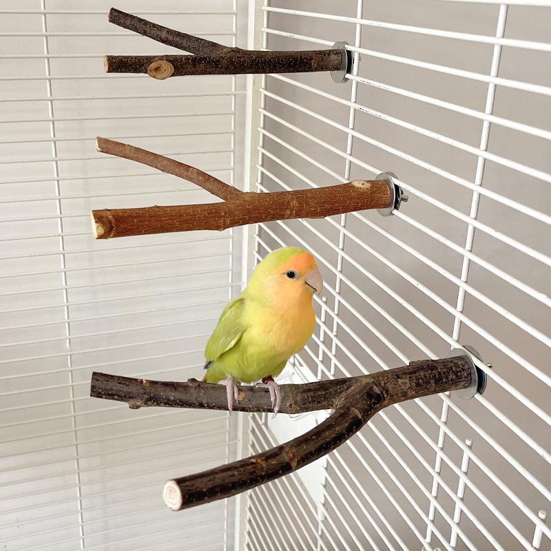 Papageienspielzeug, Baumstammäste, Vogel-Sitzstangen, Natürliche Obstbaumäste, Sitzständer, Bodenkrallen, Ruheholz