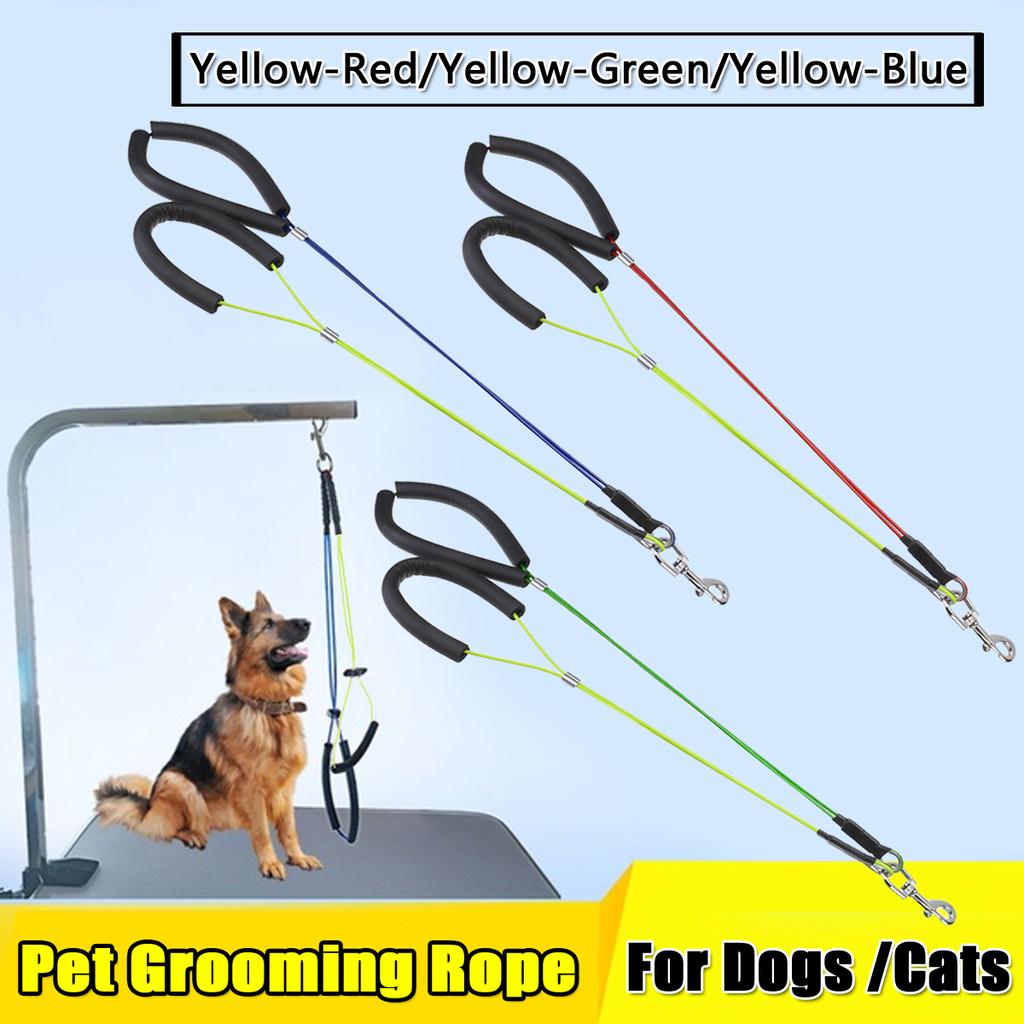 dog grooming table leash