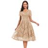 Bright Deer Women's Lace Cocktail Dress V Neck Short Sleeve Fitted Waist Midi Prom Bridesmaid Wedding Guest Party Evening Occasion Outfit
