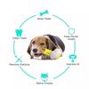 Dogs Puppy Durable Chew Toys Pet Molar Teeth Cleaning Tool Interactive Dog Toothbrush Toy for Small Dogs Dog Toy Dental Mascotas