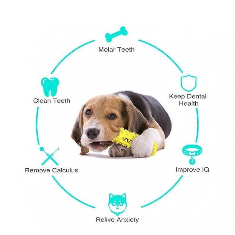 Dogs Puppy Durable Chew Toys Pet Molar Teeth Cleaning Tool Interactive Dog Toothbrush Toy for Small Dogs Dog Toy Dental Mascotas