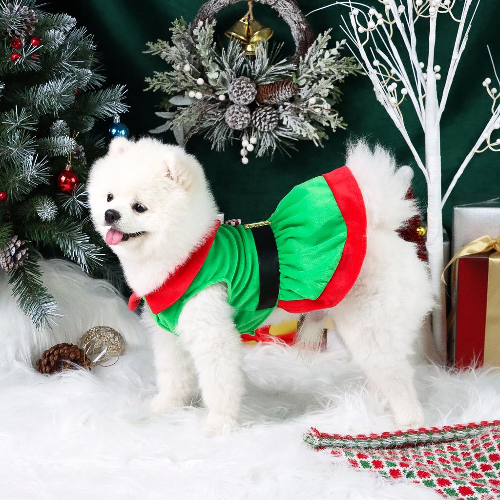 Hundegeist Kleider für kleine Hunde Kleidung Halsbänder Kostüm Welpe mit Gürtel Süßigkeitenförmige Knöpfe Hündchen Haustier Warme Kleidung Weich App