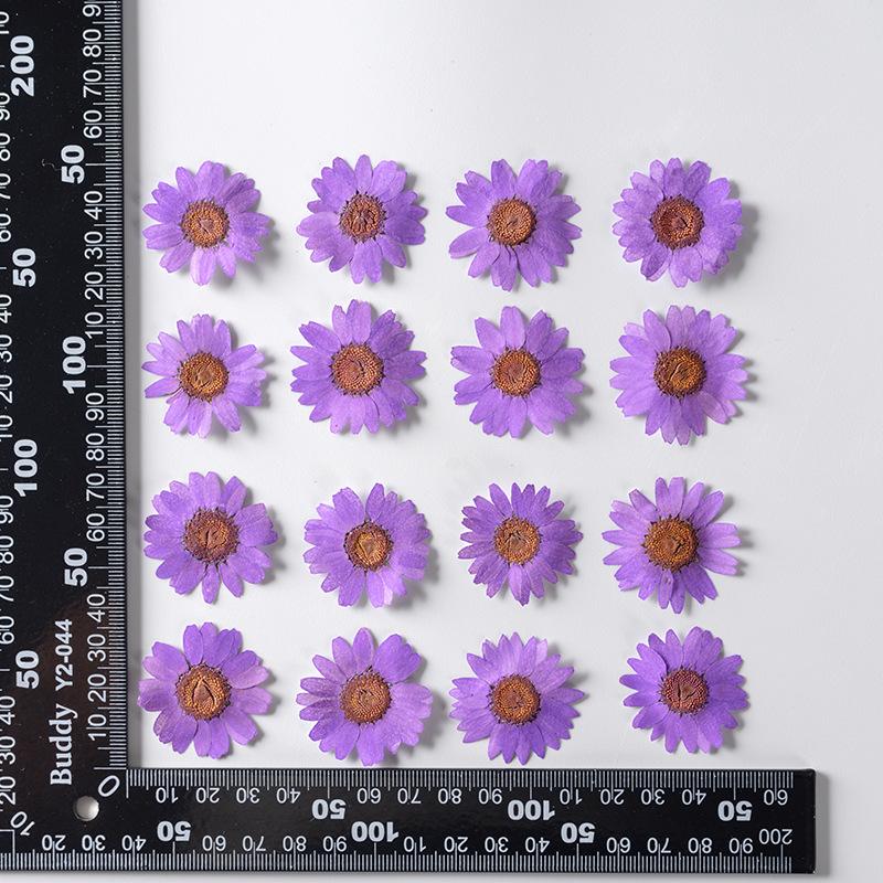 12 PCS/Set Pressed Dried Flowers for Scrapbooks Making Natural Flower For Epoxy Resin Pendant Necklace Jewelry Making Craft