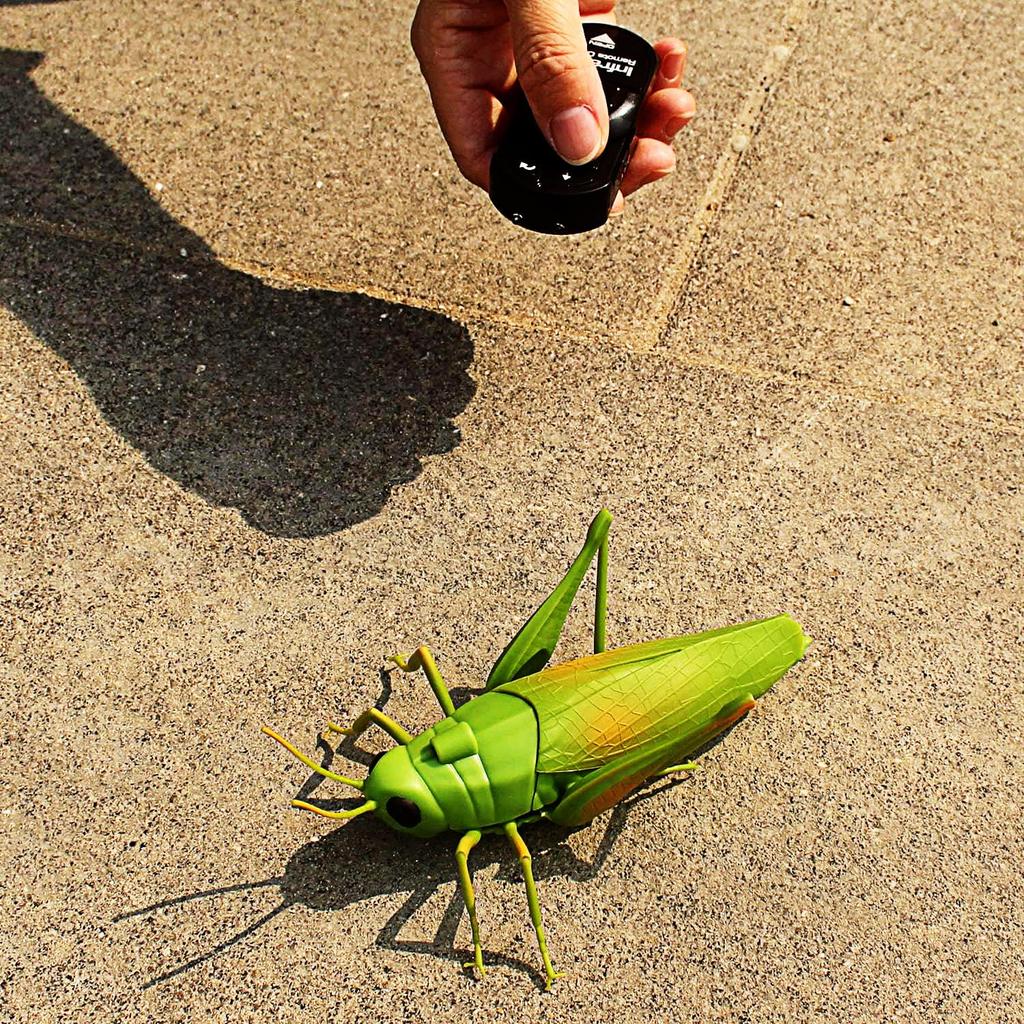 Tipmant RC Grasshopper Remote Control Animal Toy Simulation Electronic Insect Vehicle Kids Birthday Gift