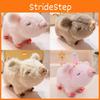 Boar Wild Short Plush Pig Plush Animal Birthday Hat Gift Ornaments Filled