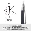 PILOT Capless Fountain Pen Wood Body F Fine (Black) FC25SKDRF, 18K Nib