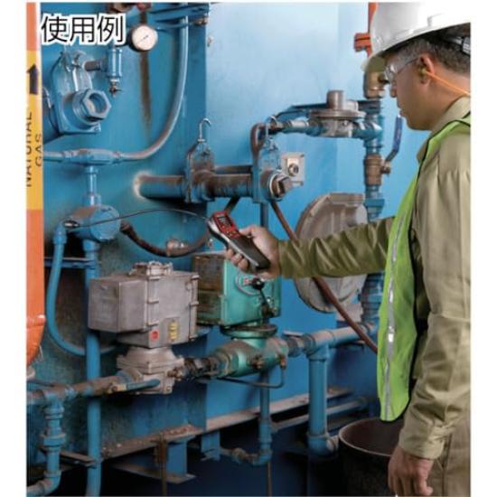 Ridgid Gas Detector CD100 36163