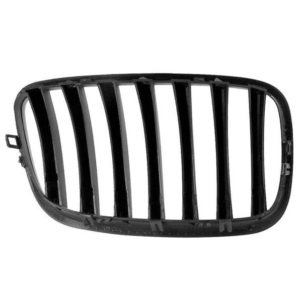 Front Kidney Grille for 2007-2013 BMW X5 E70 (1 Pair) None