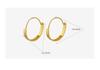 Trendy Minimalist Gold-Plated Titanium Hoop Earrings - Autumn/Winter Style F328
