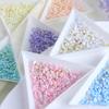 1 Set Flower Petal Nail Art Charm 3D Resin Floral Petal Golden Beads DIY