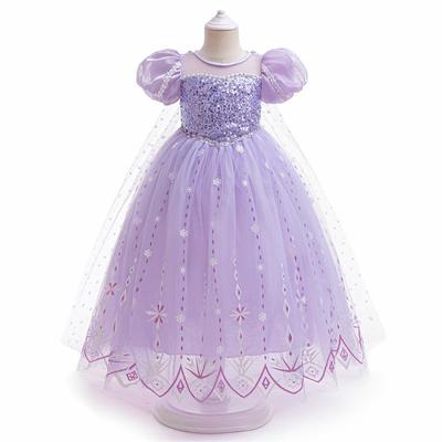 Frozen 2 Elsa Princess Sequin Snowflake Dress for Girls