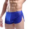 Popular European & American Men's Transparent Underwear: Mesh Boxer Sports Pants, Breathable Low-Waist Home Wear