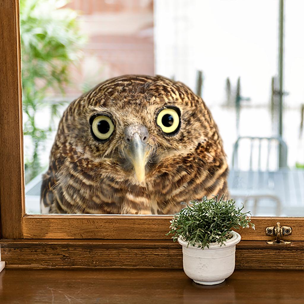 Cartoon Cute Fun Owl Wall Stickers Living Room Glass Window Home Decorration Mural Bedroom Decor Self Adhesive Animal Decals