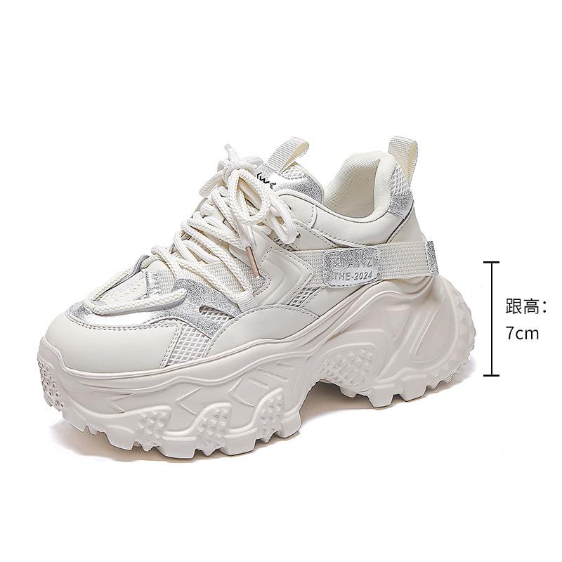 2025 spring new dad shoes women's popular platform heightening shoes fashionable retro sports shoes versatile casual women's shoes