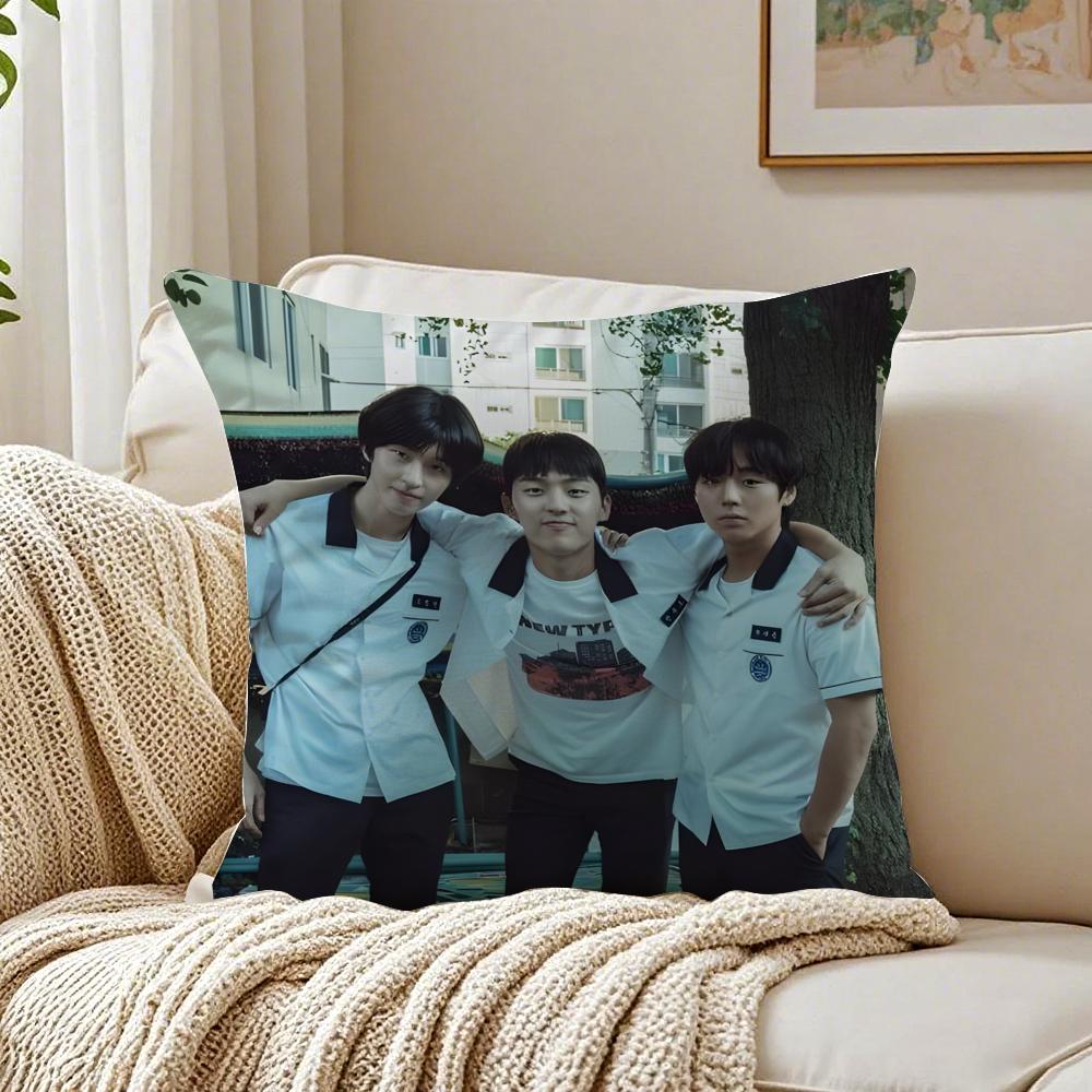 Webtoon Gritty 1 WWeak HHero Class 1 Cushion Cover Pillowcase Antidustmite living Room Sofa Decor Cushion Room