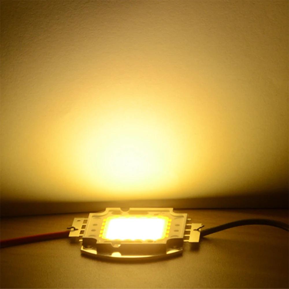 

10 Вт 20 Вт 30 Вт 50 Вт 100 Вт Белый/Теплый белый светодиодный чип DC 12 В 36 В COB Интегрированные высокомощные лампы Бусины DIY Прожектор Лампа-прожектор 10W теплый белый