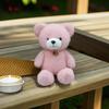 Plush Bear Teddy Toy Play Animal Doll Creative Cute Bear Doll Gift Birthday